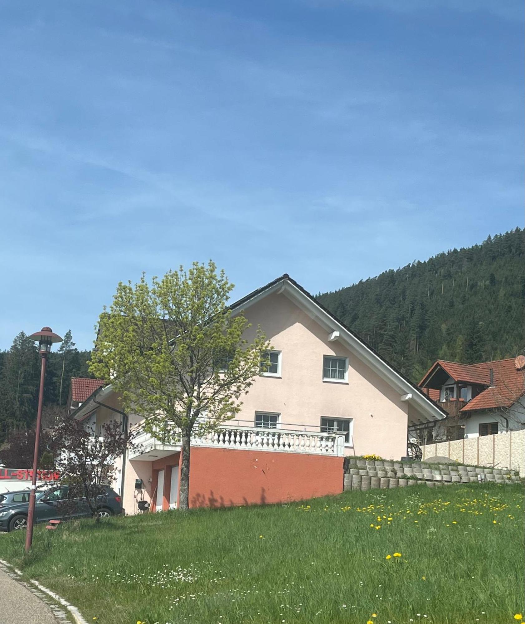 Apartamento Angelina Baiersbronn Exterior foto
